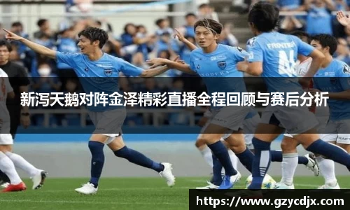 vsport新泻天鹅对阵金泽精彩直播全程回顾与赛后分析